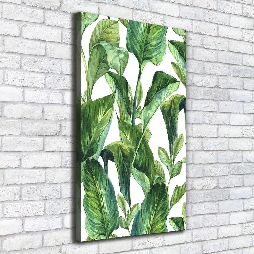 Tableau mural sur toile Feuilles tropicales plantes