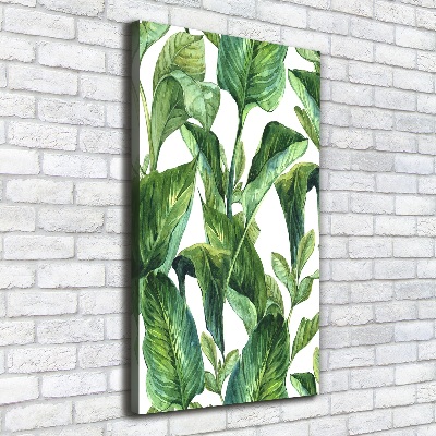 Tableau mural sur toile Feuilles tropicales plantes