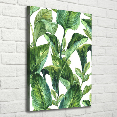 Tableau mural sur toile Feuilles tropicales plantes