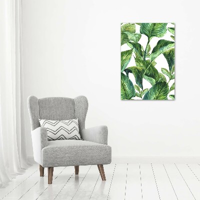 Tableau mural sur toile Feuilles tropicales plantes