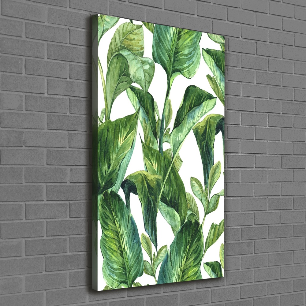 Tableau mural sur toile Feuilles tropicales plantes