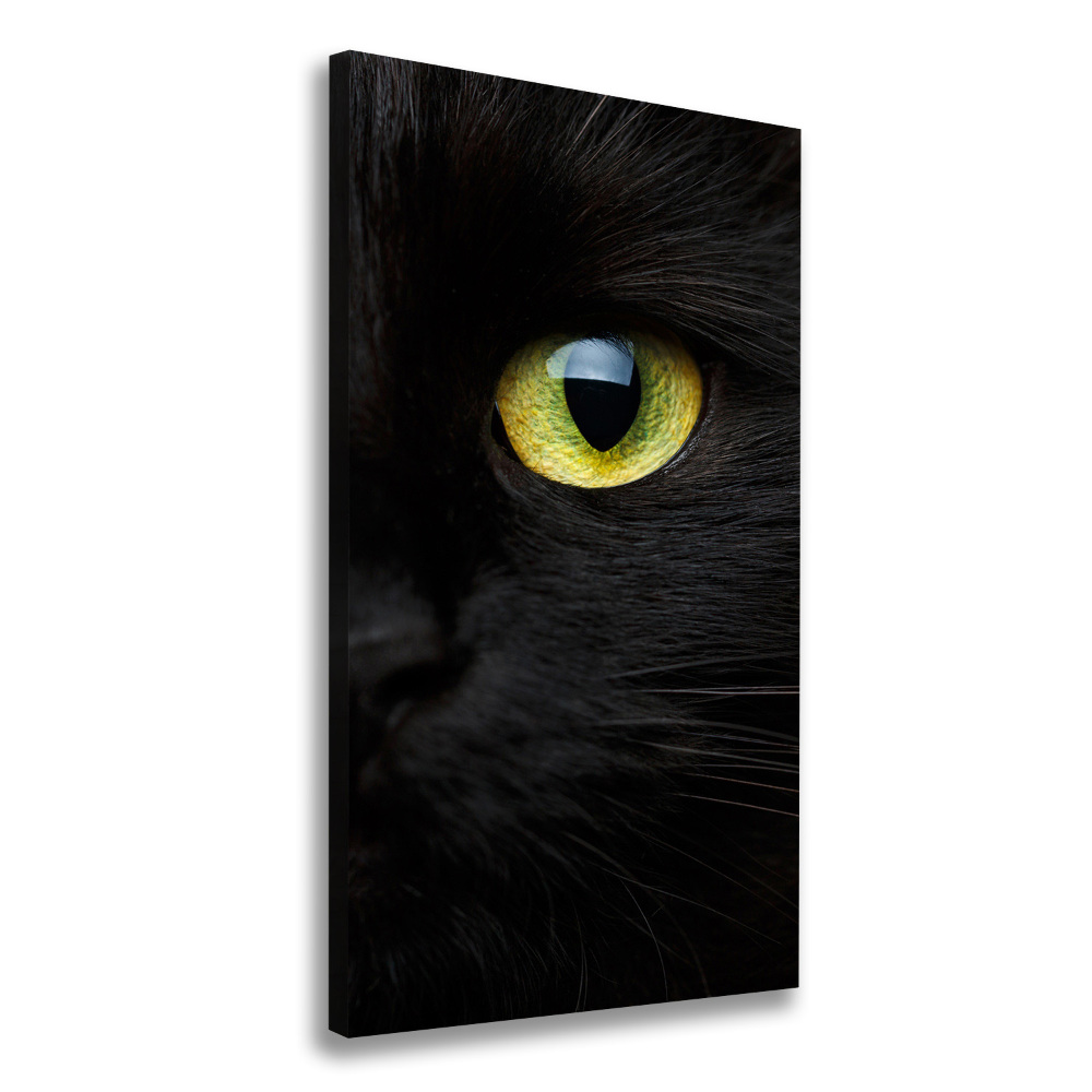 Tableau photo sur toile Les yeux du chat