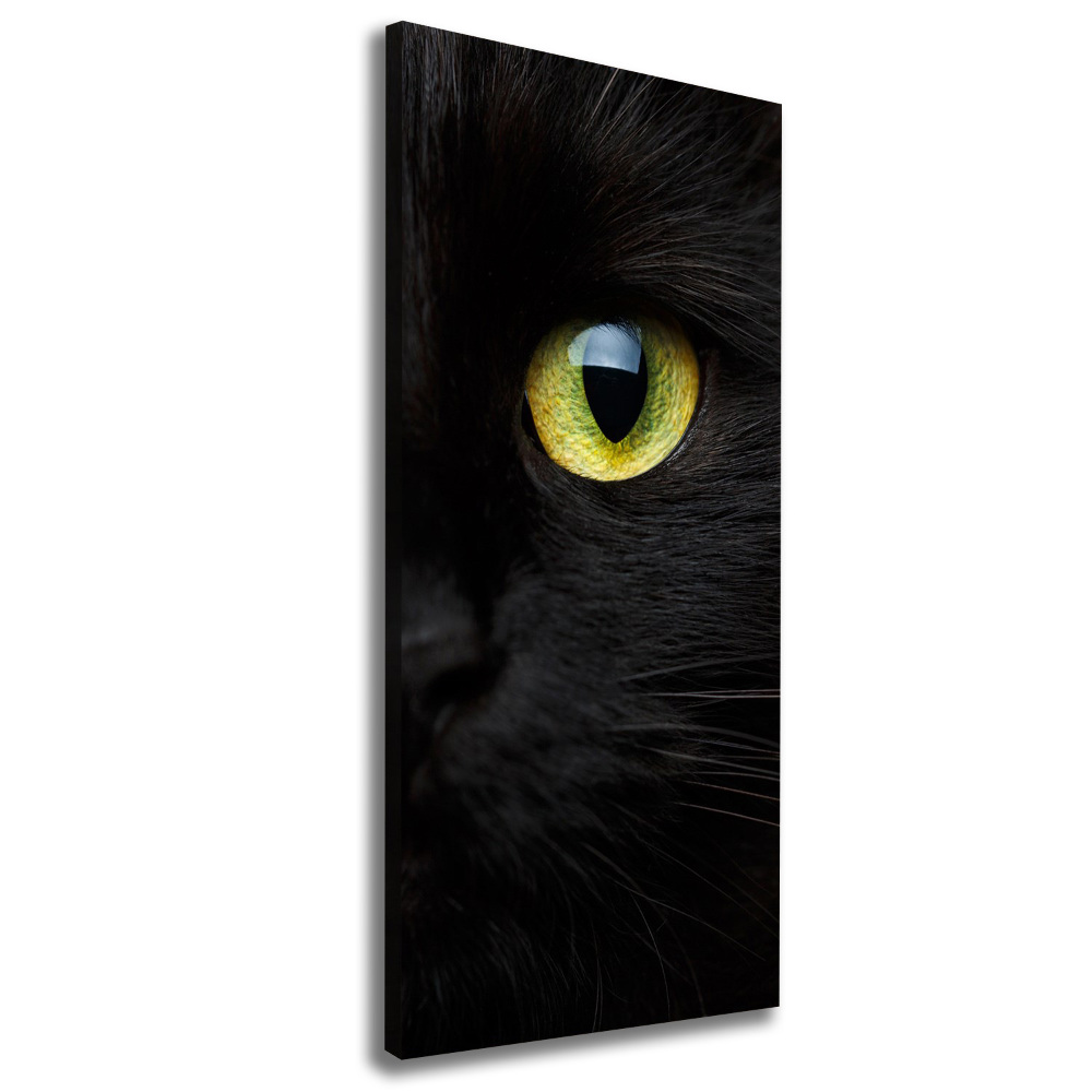 Tableau photo sur toile Les yeux du chat