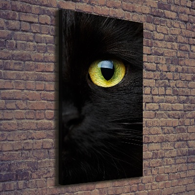 Tableau photo sur toile Les yeux du chat