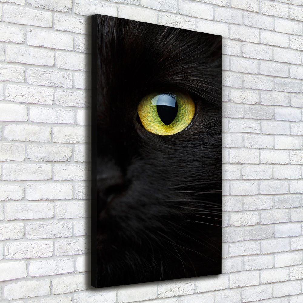 Tableau photo sur toile Les yeux du chat