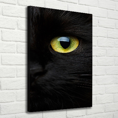 Tableau photo sur toile Les yeux du chat