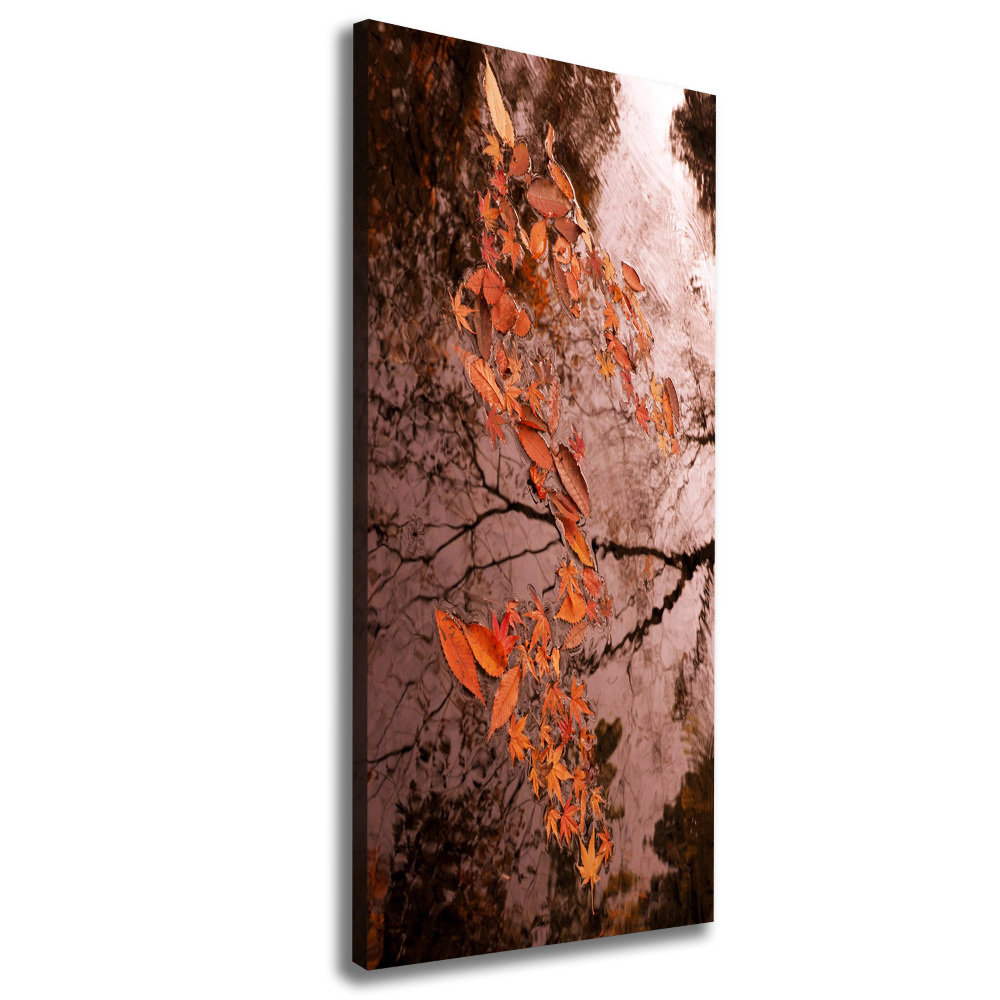 Tableau imprimé sur toile Feuilles d'automne