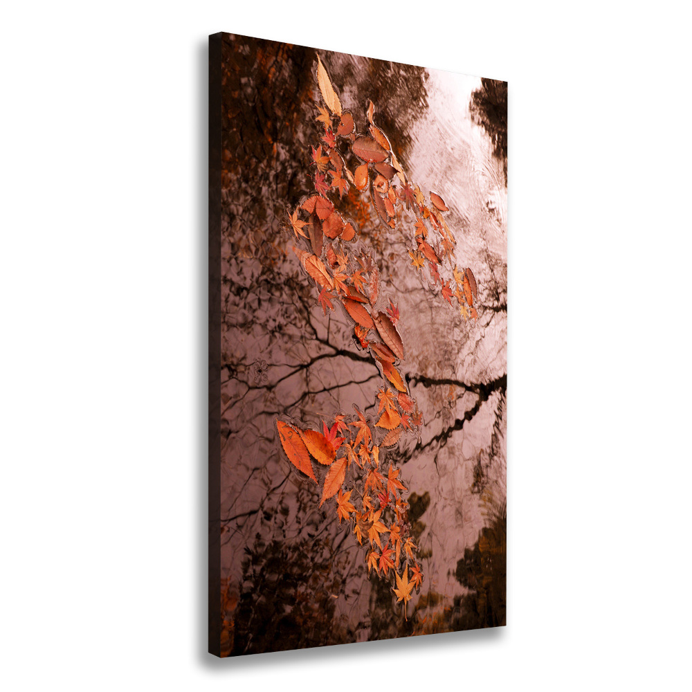 Tableau imprimé sur toile Feuilles d'automne