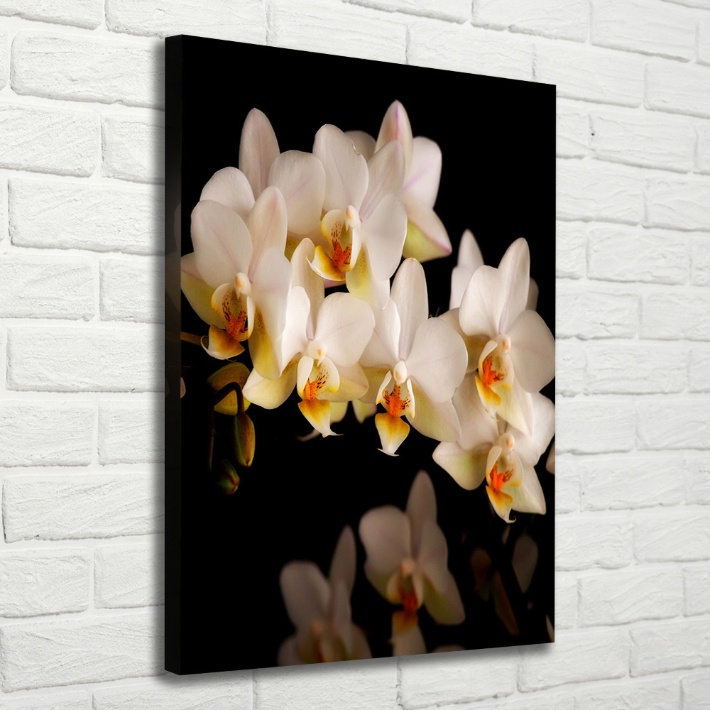 Tableau toile imprimée Orchidée