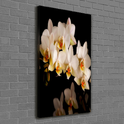 Tableau toile imprimée Orchidée