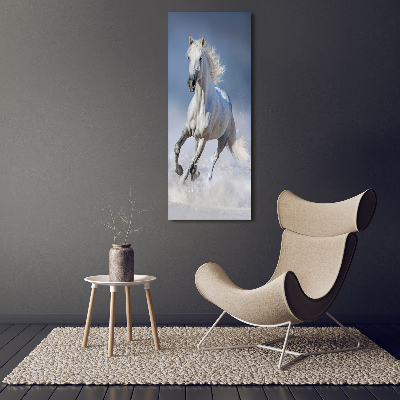 Tableau toile imprimée Cheval blanc au galop