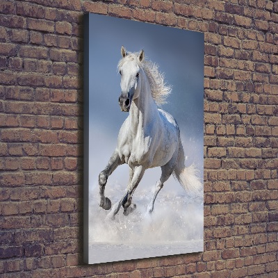 Tableau toile imprimée Cheval blanc au galop