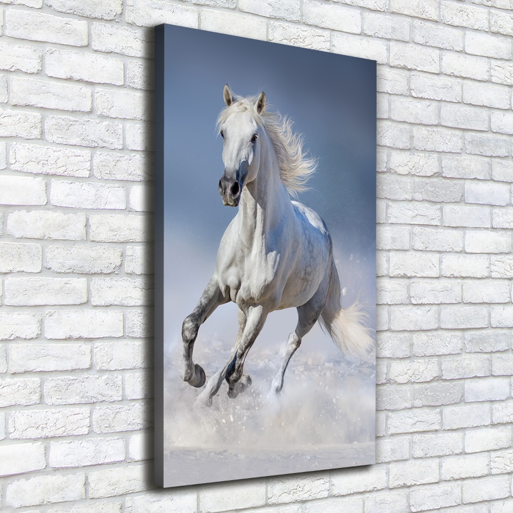 Tableau toile imprimée Cheval blanc au galop