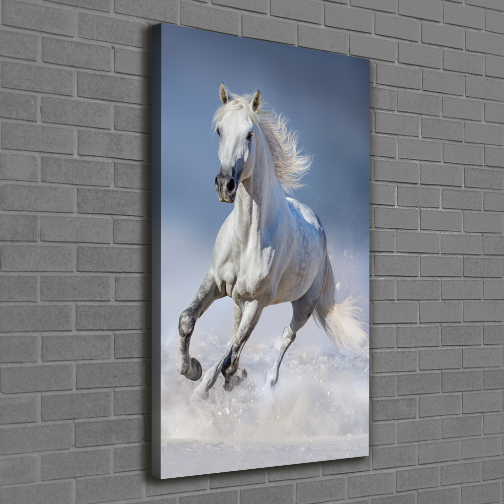 Tableau toile imprimée Cheval blanc au galop