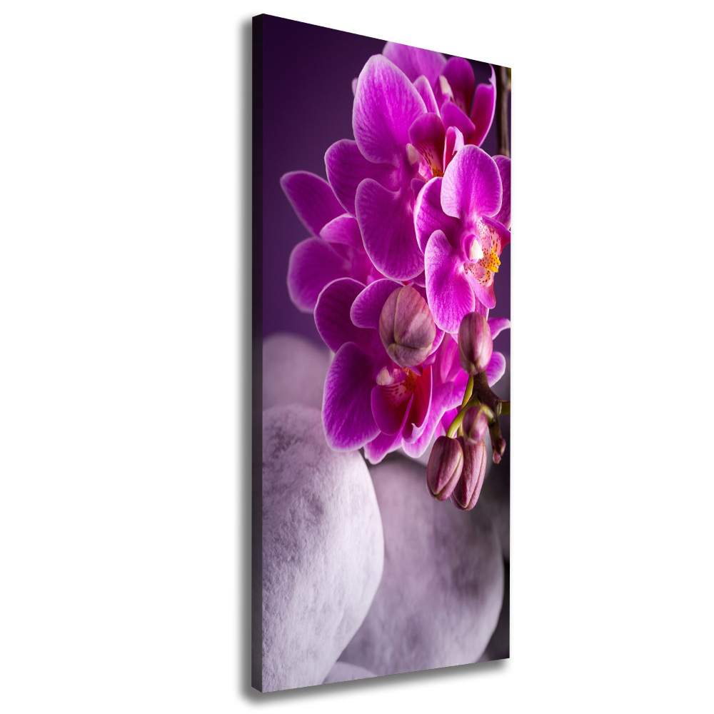 Tableau sur toile Orchidée rose