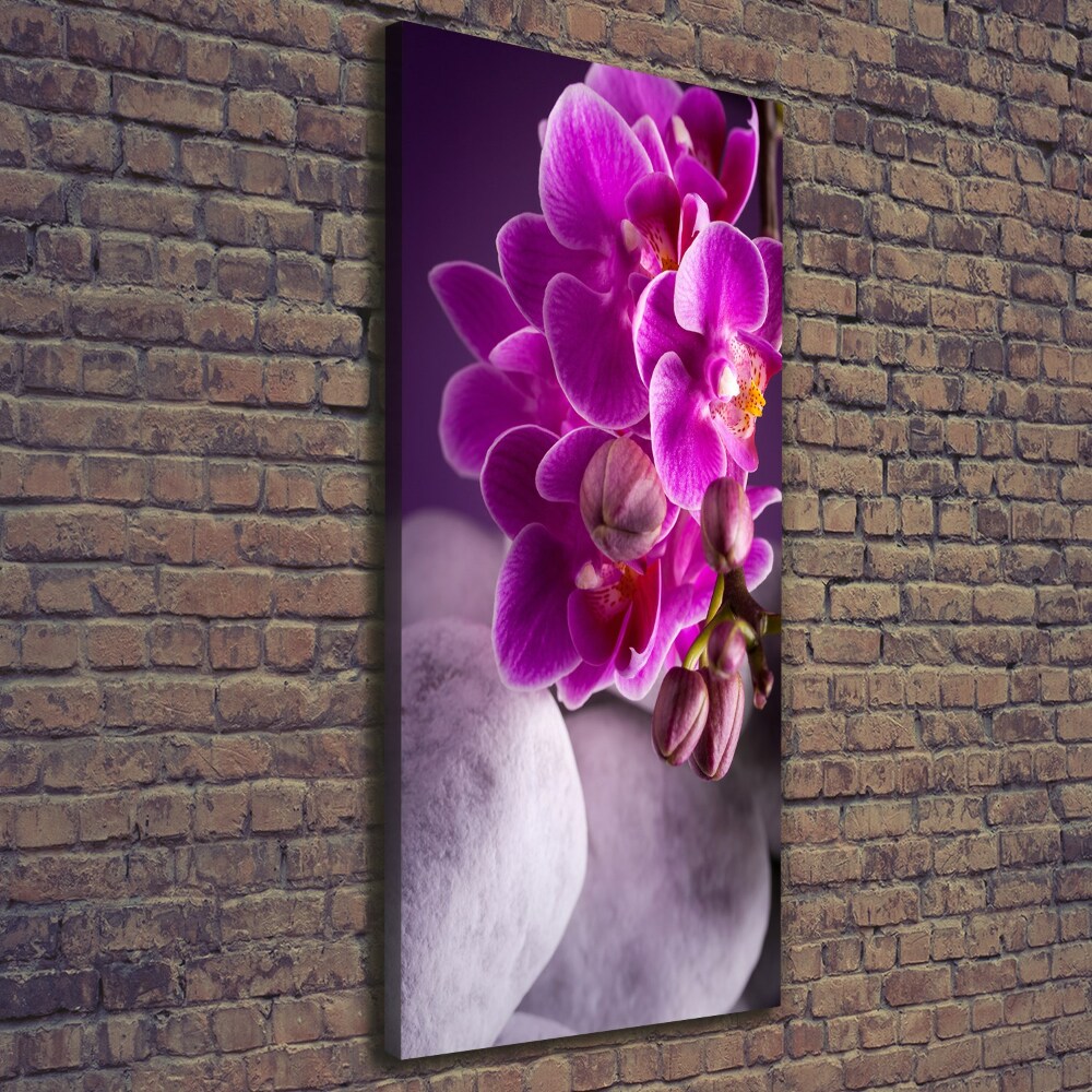 Tableau sur toile Orchidée rose