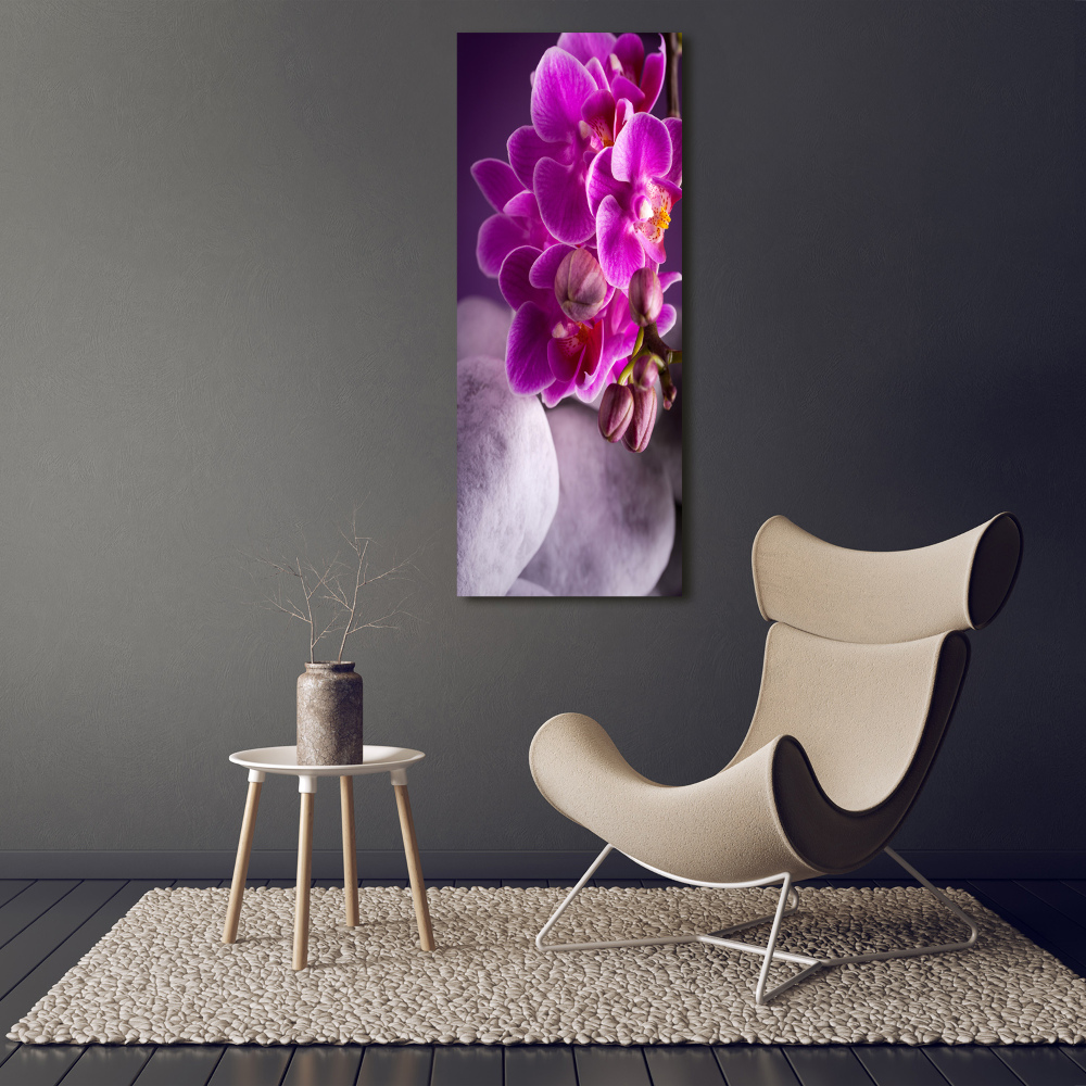 Tableau sur toile Orchidée rose