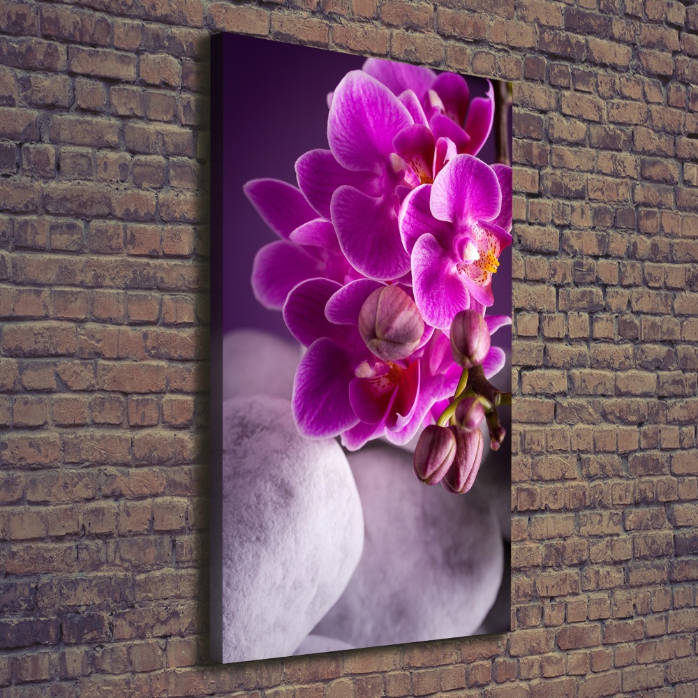 Tableau sur toile Orchidée rose