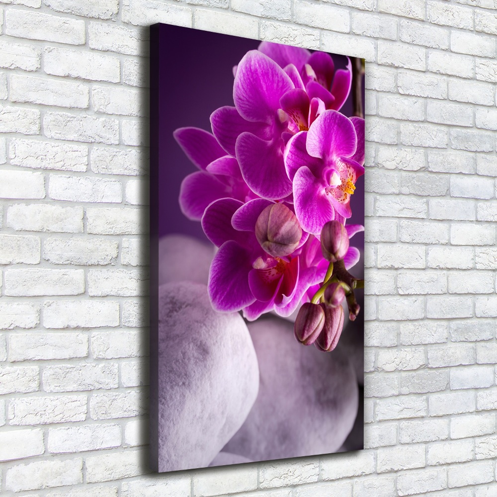 Tableau sur toile Orchidée rose