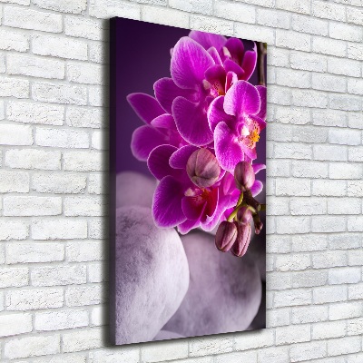 Tableau sur toile Orchidée rose