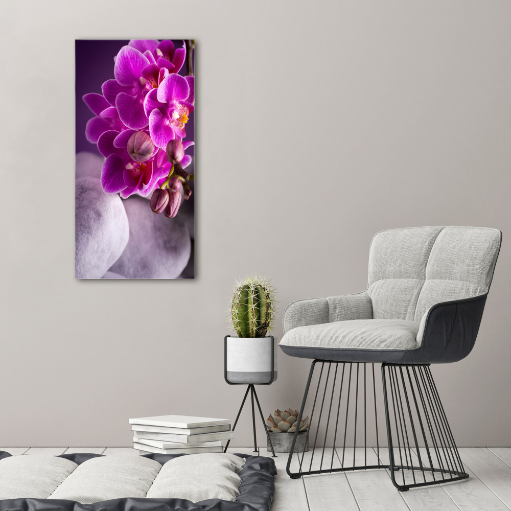 Tableau sur toile Orchidée rose