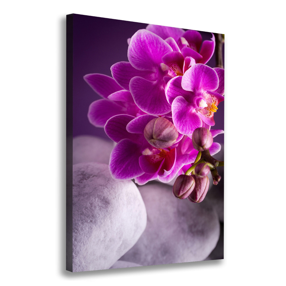 Tableau sur toile Orchidée rose