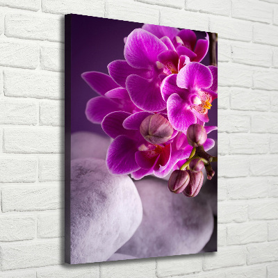 Tableau sur toile Orchidée rose