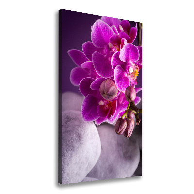 Tableau sur toile Orchidée rose