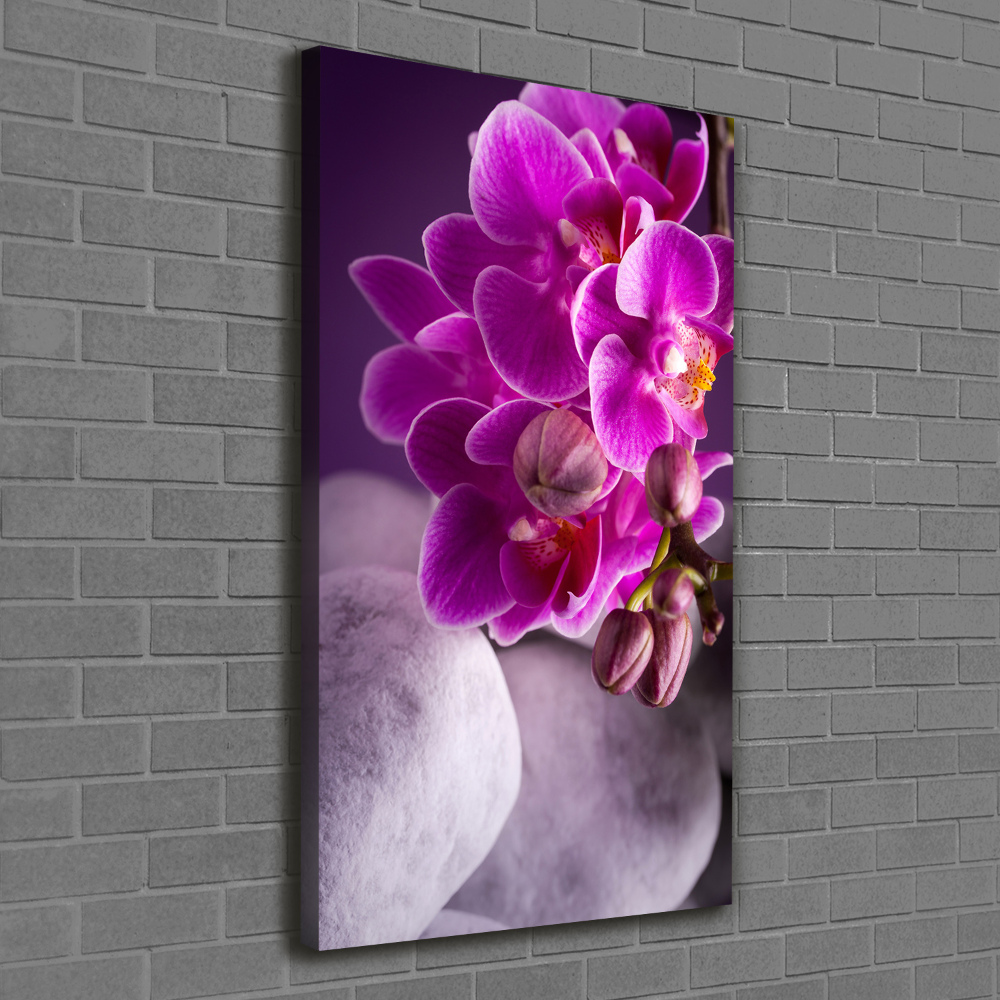 Tableau sur toile Orchidée rose