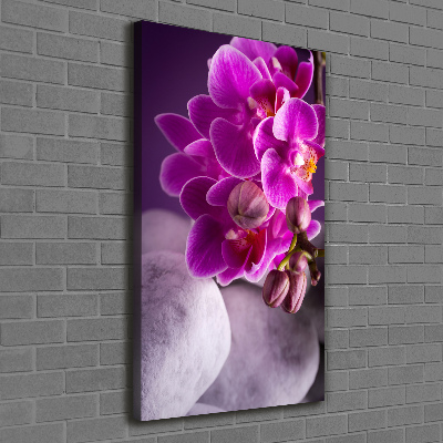 Tableau sur toile Orchidée rose