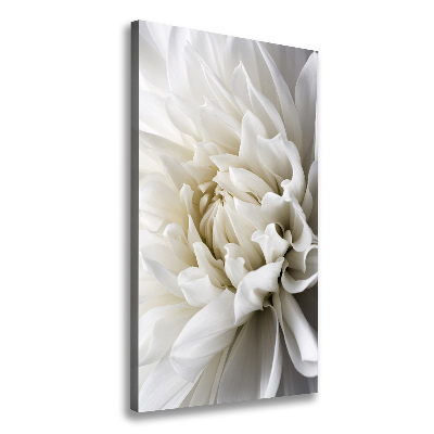 Tableau sur toile Dahlia blanc