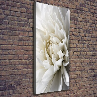 Tableau sur toile Dahlia blanc