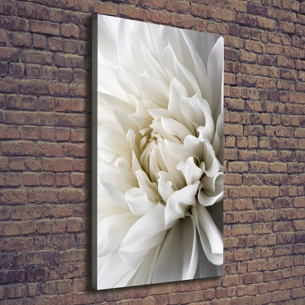 Tableau sur toile Dahlia blanc