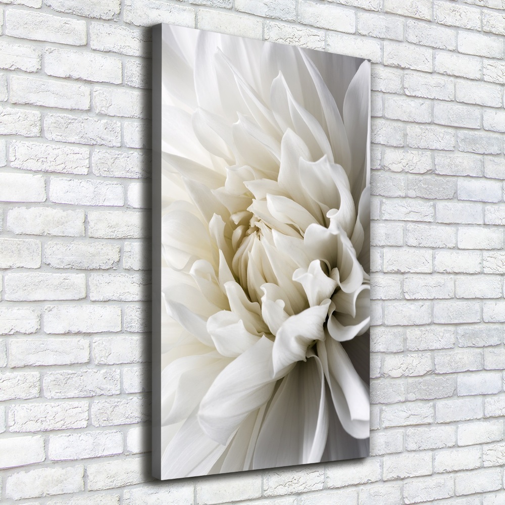 Tableau sur toile Dahlia blanc