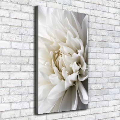 Tableau sur toile Dahlia blanc