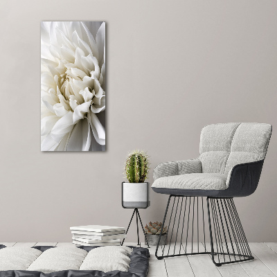 Tableau sur toile Dahlia blanc