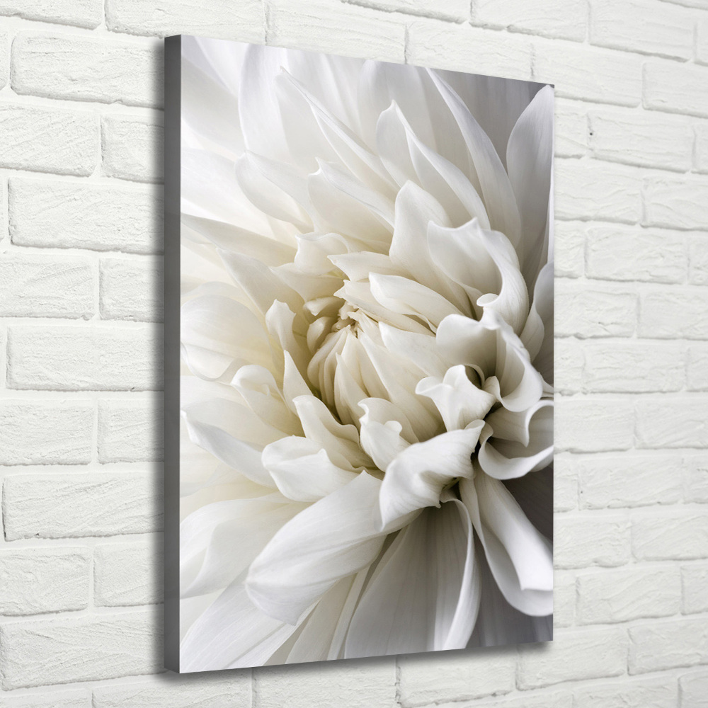 Tableau sur toile Dahlia blanc