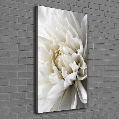 Tableau sur toile Dahlia blanc