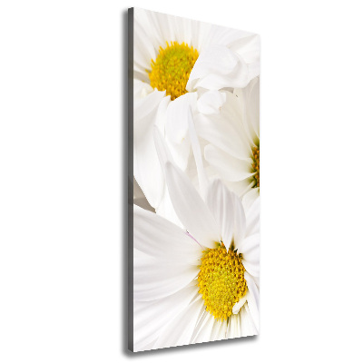 Tableau photo sur toile Fleurs de marguerite