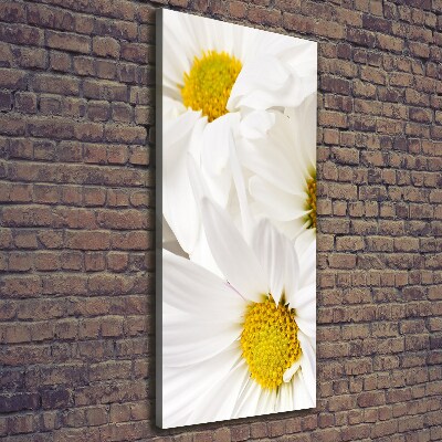 Tableau photo sur toile Fleurs de marguerite