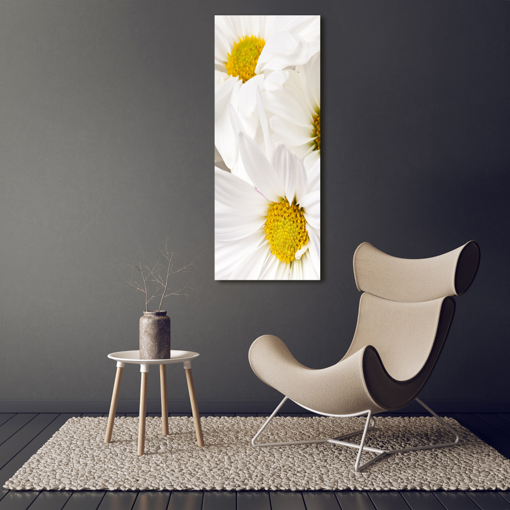 Tableau photo sur toile Fleurs de marguerite