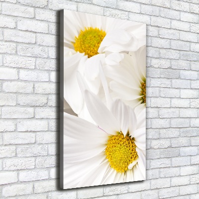 Tableau photo sur toile Fleurs de marguerite