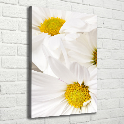 Tableau photo sur toile Fleurs de marguerite