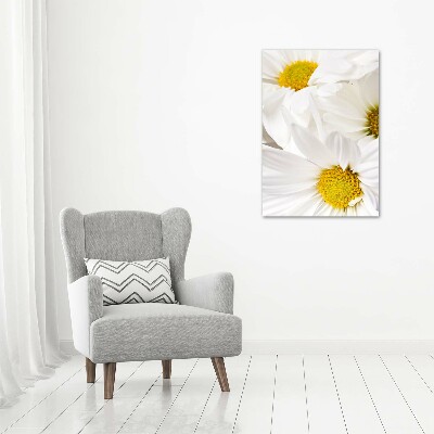 Tableau photo sur toile Fleurs de marguerite