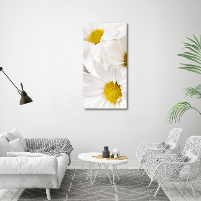 Tableau photo sur toile Fleurs de marguerite