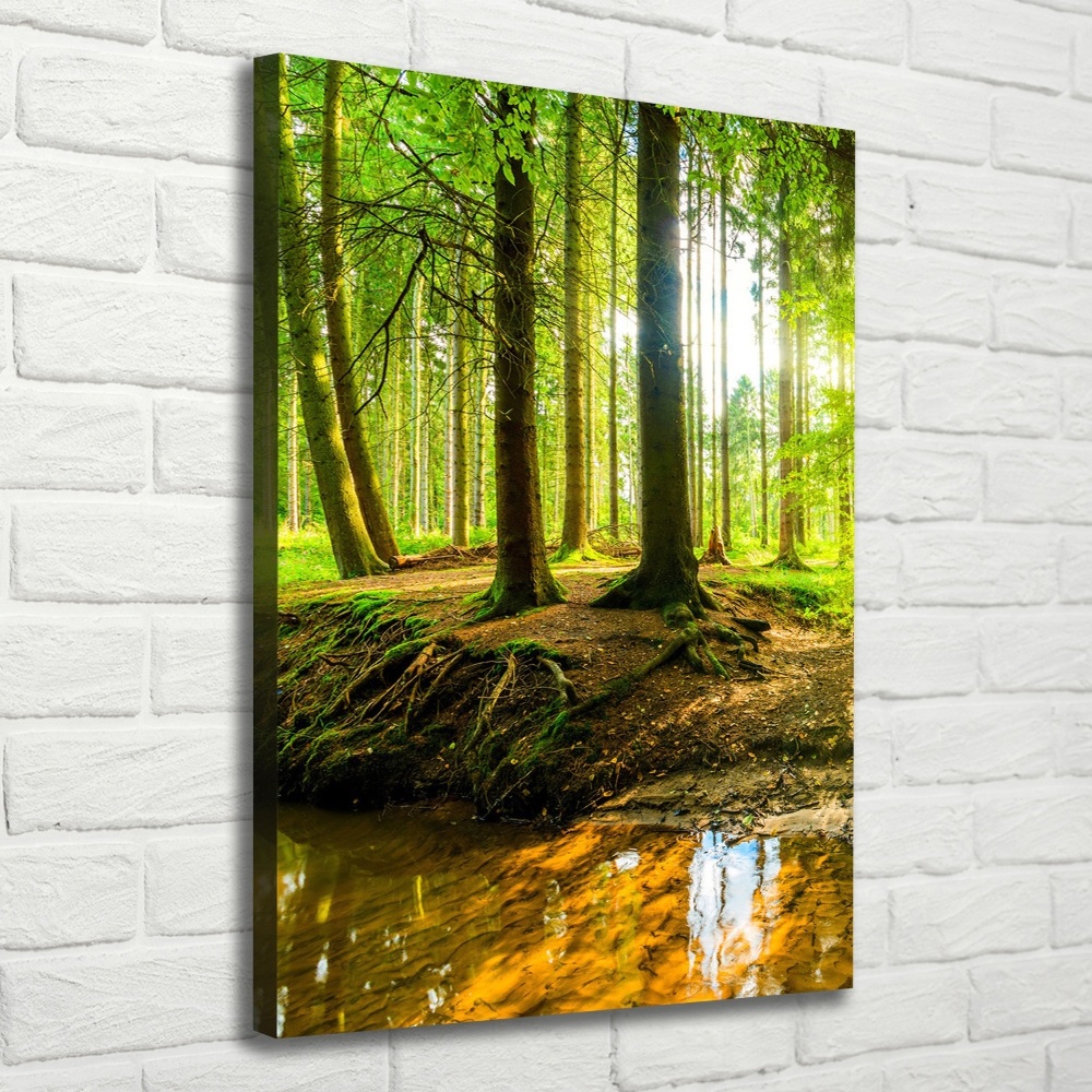 Tableau imprimé sur toile Ruisseau dans la forêt