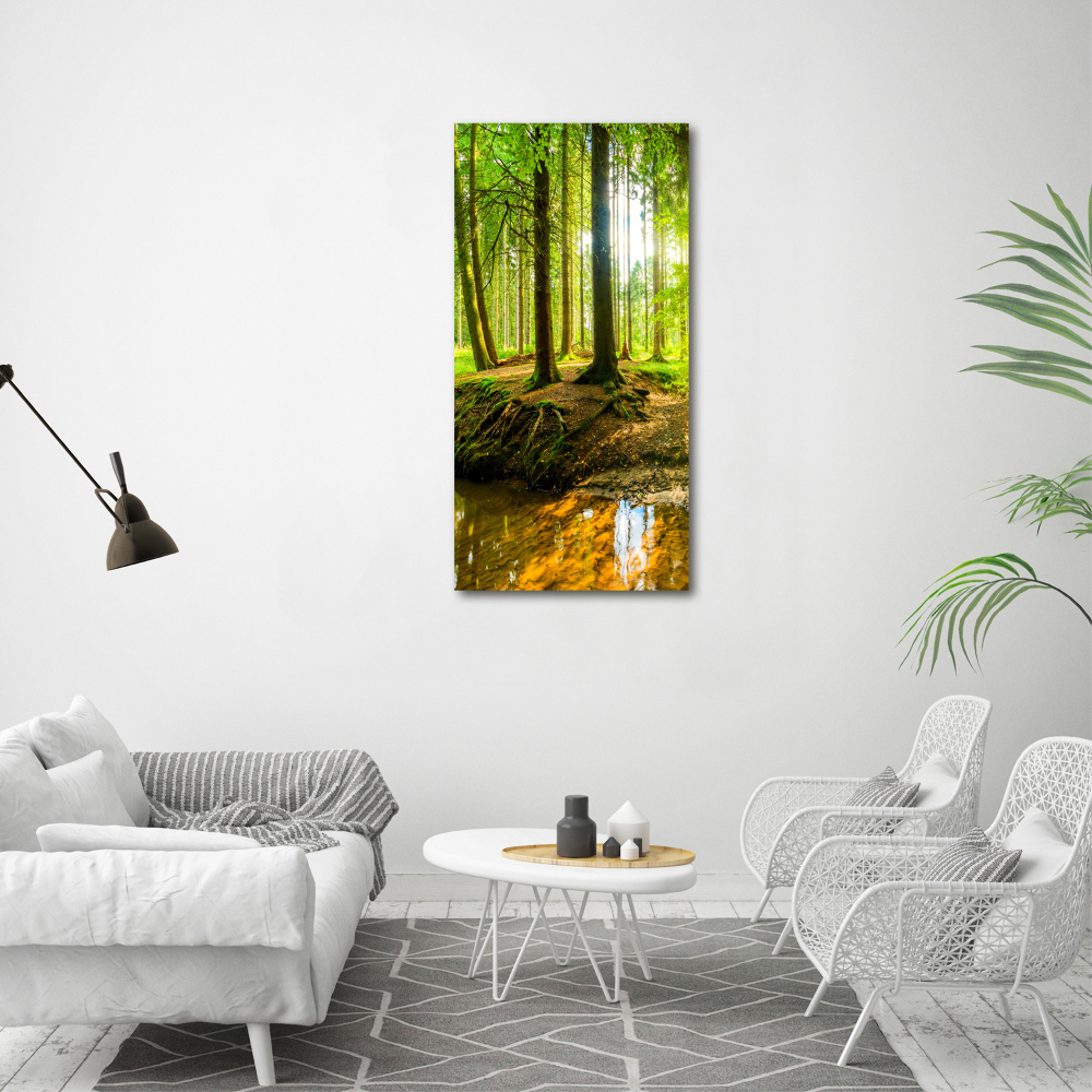 Tableau imprimé sur toile Ruisseau dans la forêt