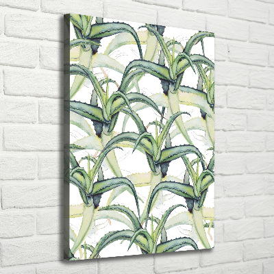 Tableau toile imprimée Aloe vera