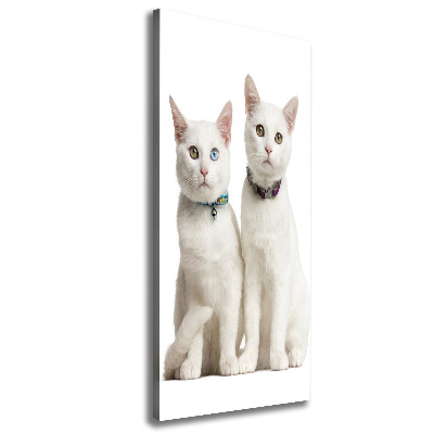 Tableau photo sur toile Deux chats blancs