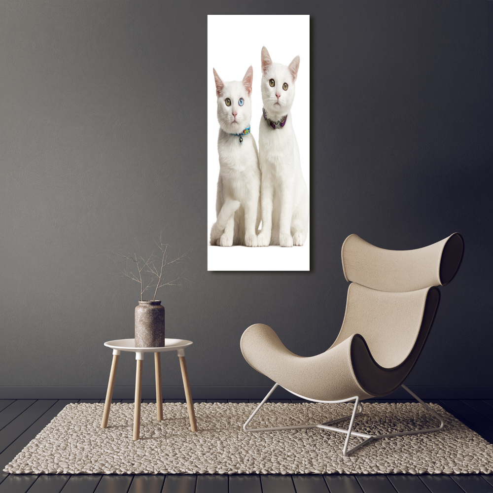 Tableau photo sur toile Deux chats blancs